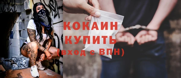 амф Верхний Тагил