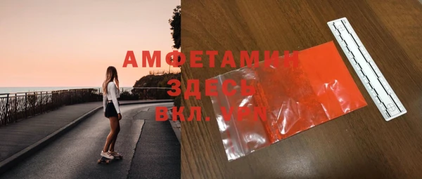 амф Верхний Тагил