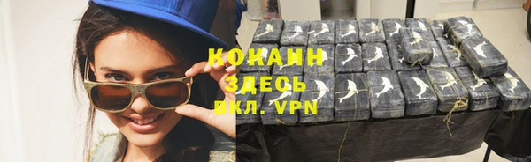 амф Верхний Тагил