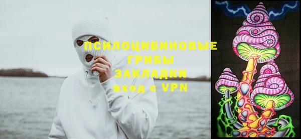 каннабис Каменногорск