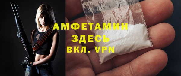 амф Верхний Тагил