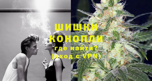 амф Верхний Тагил