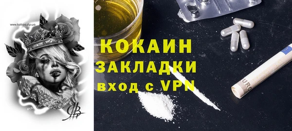 амф Верхний Тагил