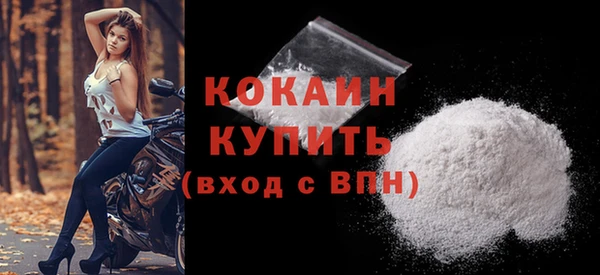 амф Верхний Тагил