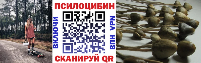 цена   Белорецк  Псилоцибиновые грибы прущие грибы 